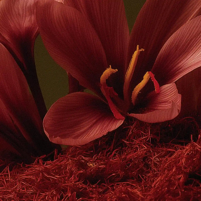 Spicy Cubes Pineapple Dailies For Her